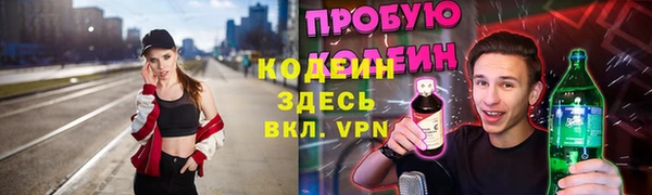 дмт Гусь-Хрустальный