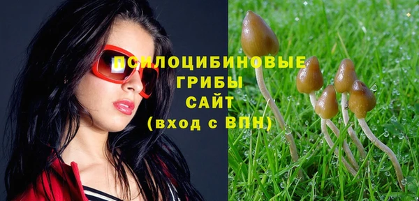 СК Горно-Алтайск