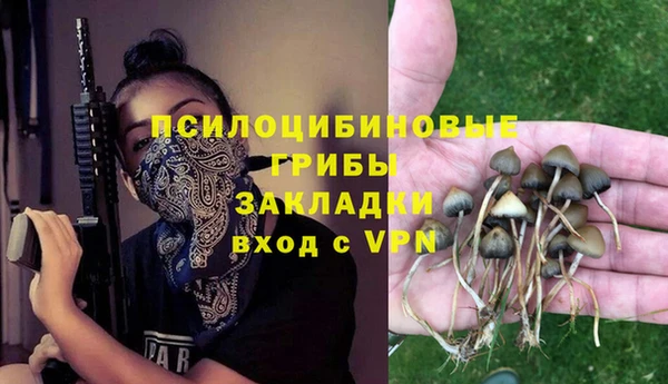 мяу мяу мука Горняк