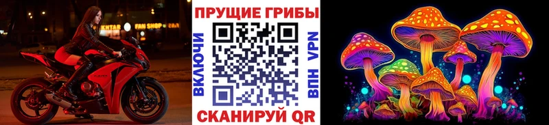 Псилоцибиновые грибы MAGIC MUSHROOMS  купить   Рязань 